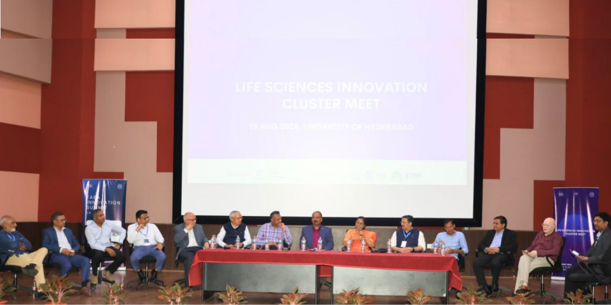 faba cluster meet photos